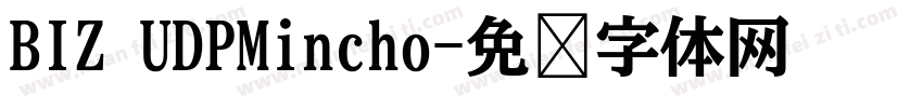 BIZ UDPMincho字体转换